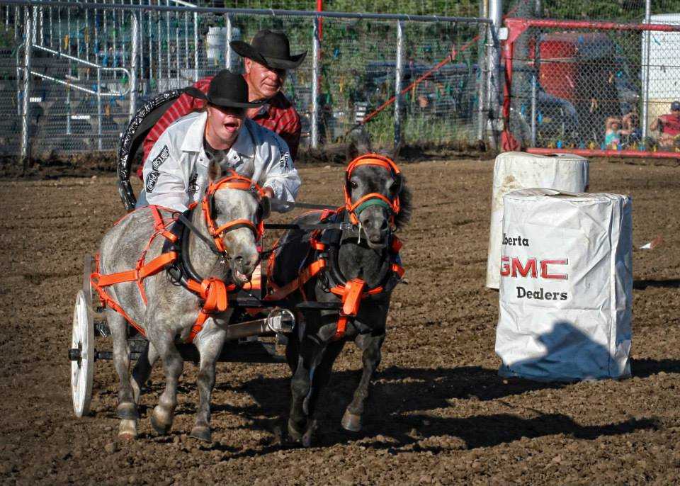 All Around Champion Sponsor